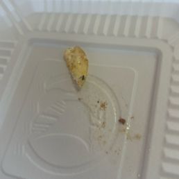 Ant/bug on the fried egg.