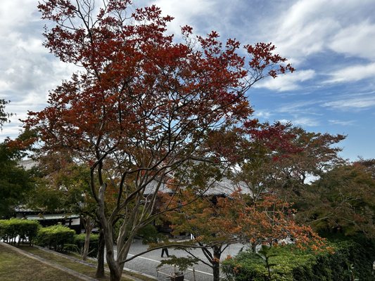 Byōdo-in Temple by null