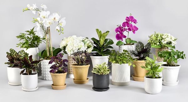 Saifee Hardware & Garden by null