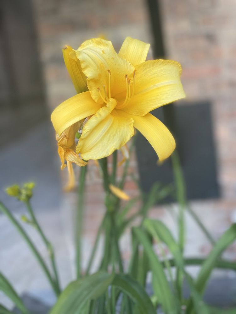 CLOVER PARK Updated October 2024 113 Photos & 88 Reviews 2600