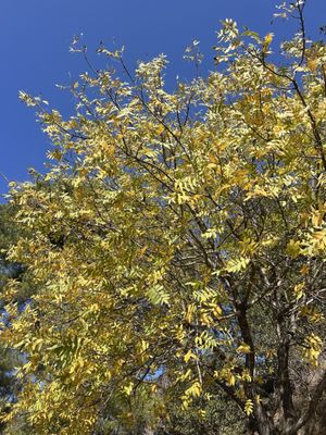 Hollywood Reservoir by null