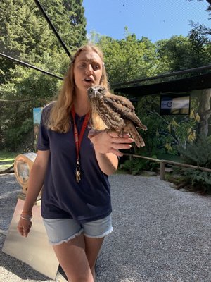 Kiwi Park Queenstown by null