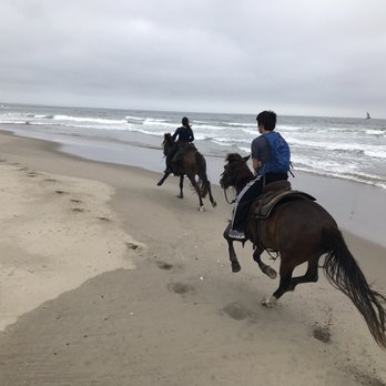 Seahorse Equestrian Tours - Steve got some great photos of us! - Horseback Riding Near Me Seahorse Equestrian Tours - Steve got some great photos of us! - Horseback Riding Near Me