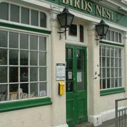 Bird's Nest Bar and Hostel