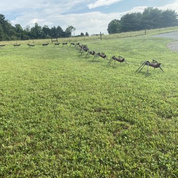 R and R Camp Ground - Little ants the owner made - RV Parks Near Me - Dunlap, Tennessee R and R Camp Ground - Little ants the owner made - RV Parks Near Me - Dunlap, Tennessee