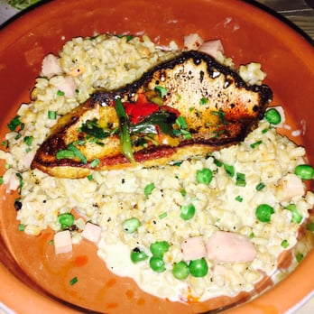 Lechon - Red snapper with barley risotto - Tapas Bars Near Me - Portland, Oregon Lechon - Red snapper with barley risotto - Tapas Bars Near Me - Portland, Oregon