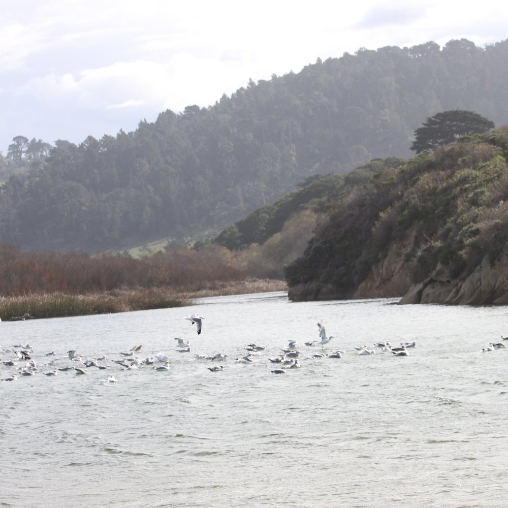 Carmel River State Beach - Beaches Near Me - Carmel, California