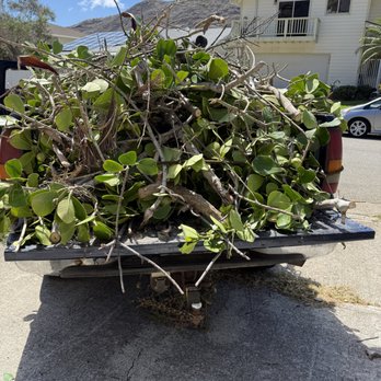 Master Landscaping and Yard Maintenance - Hauling - Landscaping Near Me - Urban Honolulu, Hawaii Master Landscaping and Yard Maintenance - Hauling - Landscaping Near Me - Urban Honolulu, Hawaii