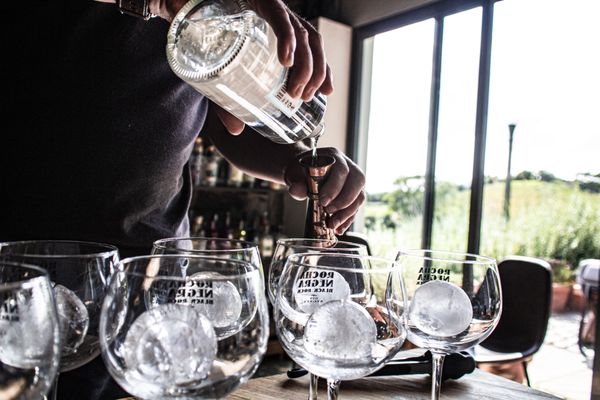 The Gin Library - The Worlds Largest Gin Collection by null