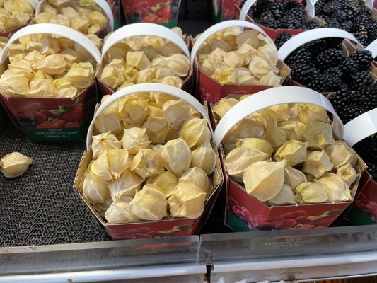 Maisonneuve Market by null