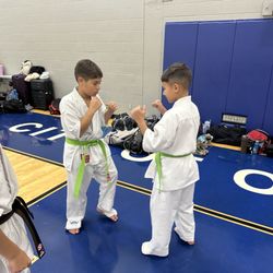 Kyokushin