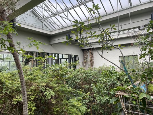 Texas Discovery Gardens at Fair Park by null