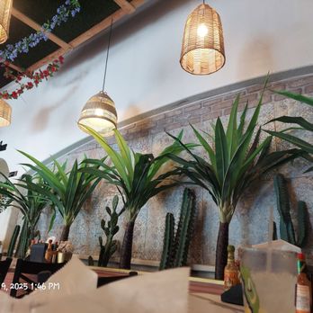 Mestizo Mex Cocina - Decor with fun desert vibe - Mexican Near Me - Jacksonville, Florida Mestizo Mex Cocina - Decor with fun desert vibe - Mexican Near Me - Jacksonville, Florida