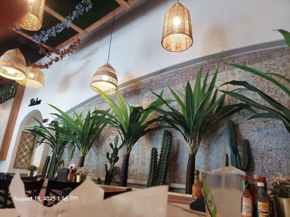 Mestizo Mex Cocina
