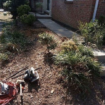 Jose De La Cruz - Landscaping Near Me - Alexandria, Virginia Jose De La Cruz - Landscaping Near Me - Alexandria, Virginia