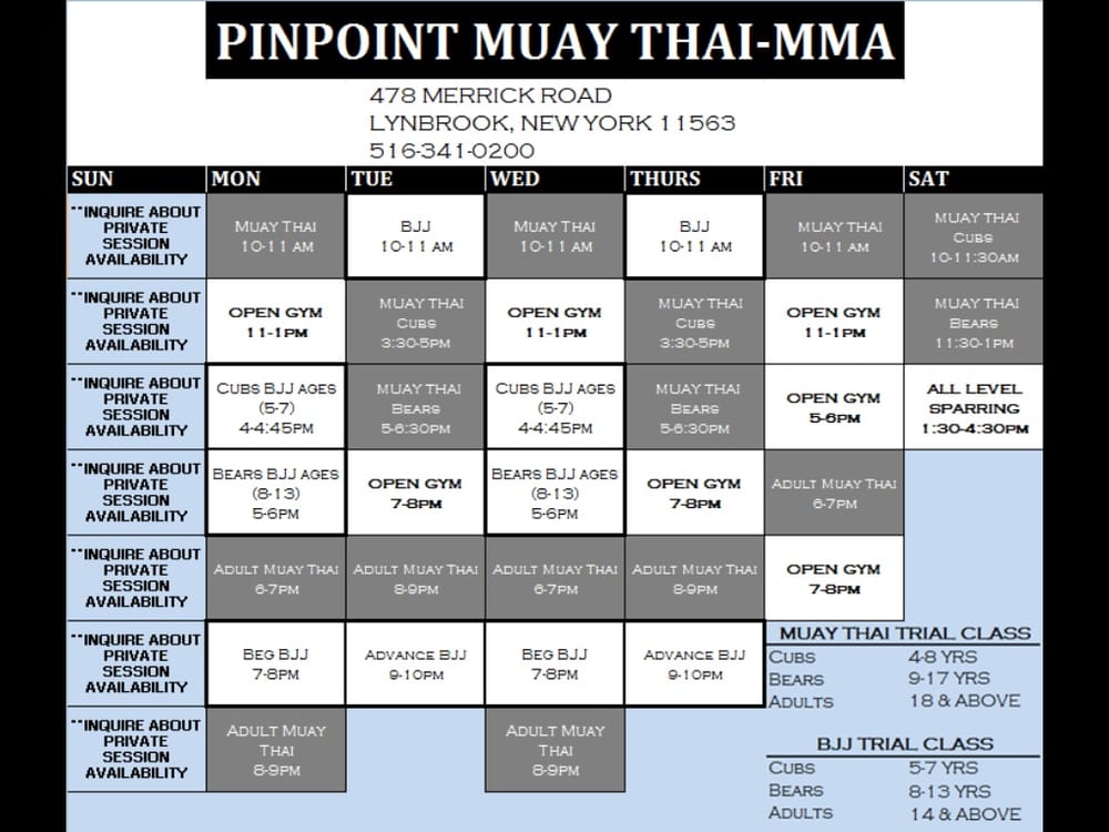 PinPoint Muay Thai Logo
