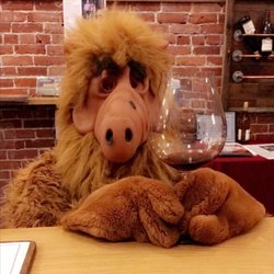Artisanal Wine Cellars - You never know who's gonna drop by! Hey Alf!