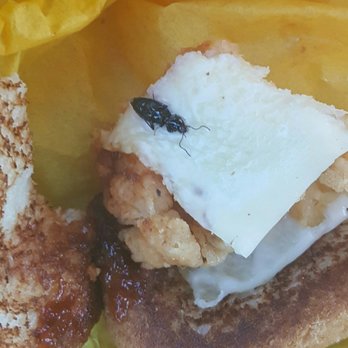 Whataburger - Burgers Near Me - Alvarado, Texas Whataburger - Burgers Near Me - Alvarado, Texas