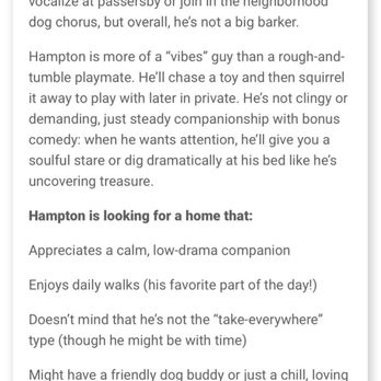 Doggie Protective Services - Cindy said Hampton had major behavioral issues (barking, biting, and needing intensive training). - Pet Adoption Near Me Doggie Protective Services - Cindy said Hampton had major behavioral issues (barking, biting, and needing intensive training). - Pet Adoption Near Me