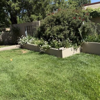 Red Shovel Landscape - Flower bed overtaken by weeds - Landscaping Near Me - Albuquerque, New Mexico