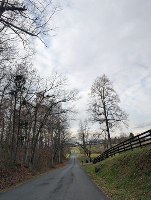 Barboursville Vineyards by null
