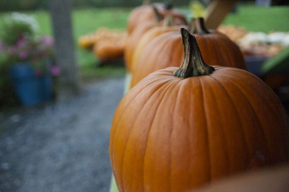 Charlotte Berry Farm Logo
