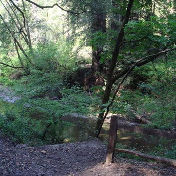 Samuel P Taylor State Park - creek behind site 5 - Parks Near Me - Lagunitas, California Samuel P Taylor State Park - creek behind site 5 - Parks Near Me - Lagunitas, California