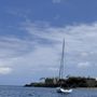 Salty Dog Sailing Maui