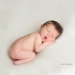 4 Winks Photography