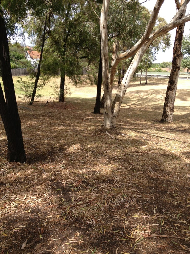 GAVIN PARK Updated March 2025 Pleasant St, Pascoe Vale Victoria, Australia Parks Yelp