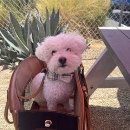 My baby enjoying the outdoors My baby enjoying the outdoors