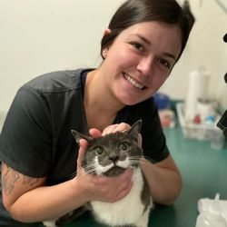 Willow Rock Pet Hospital