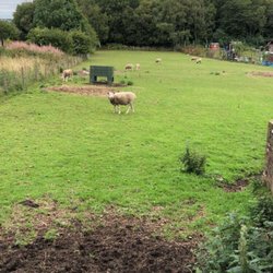 Lamont City Farm Project