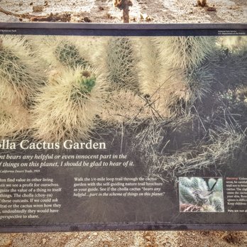 Cholla Cactus Garden - Hiking Near Me - Eagle Mountain, California