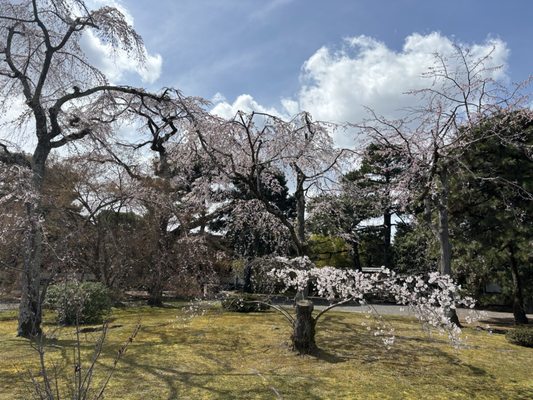 Kyoto Imperial Palace by null