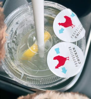 Proposition Chicken by null