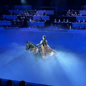 Medieval Times Dinner & Tournament - a man riding a horse in a foggy arena - Arts & Entertainment Near Me - Toronto, Ontario