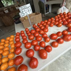 Albert's Farmers Market