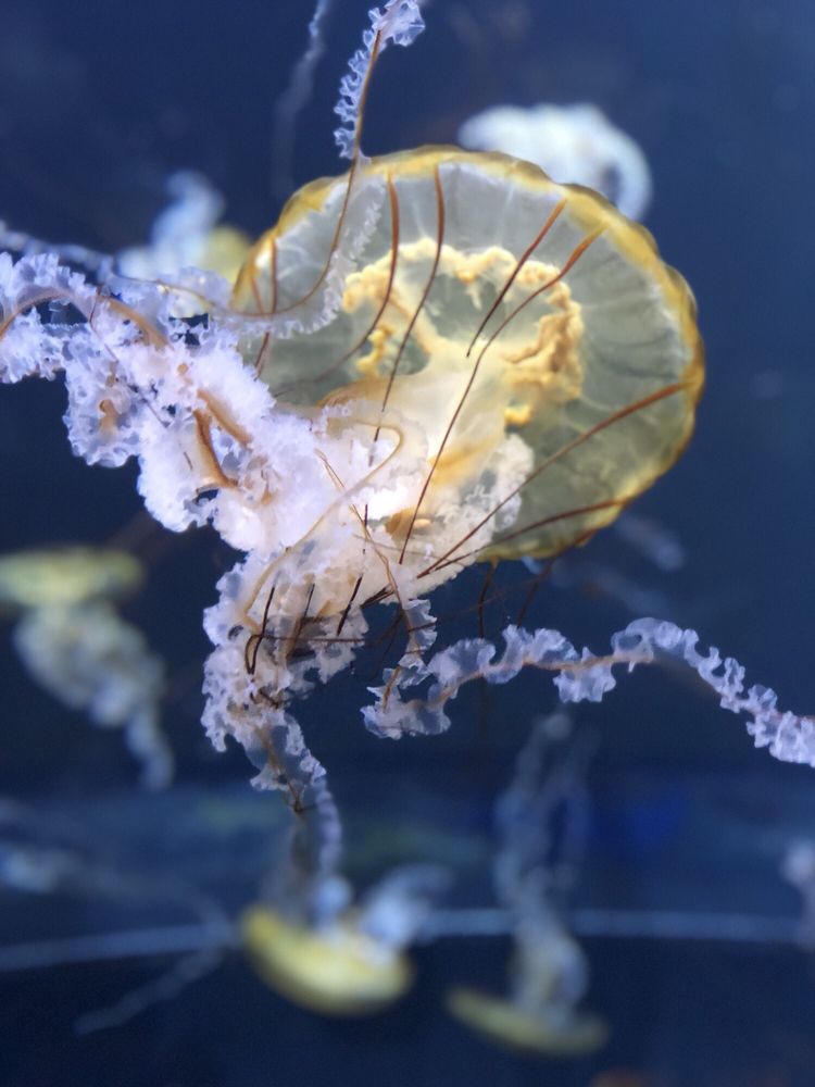 Adventure Aquarium 1481 Photos 480 Reviews Aquariums 1 Riverside Dr Camden Nj Phone Number Yelp