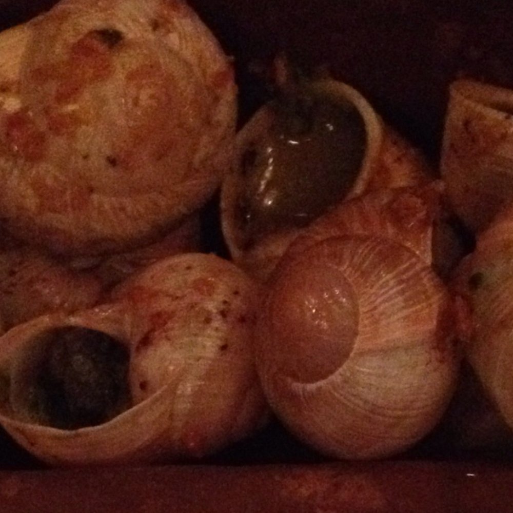 Slimaki / Snails