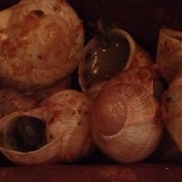 Slimaki / Snails