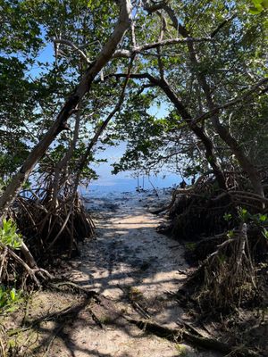 Weedon Island Preserve by null