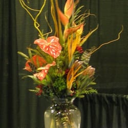 Bristol Botanics - the $75 tropical arrangement