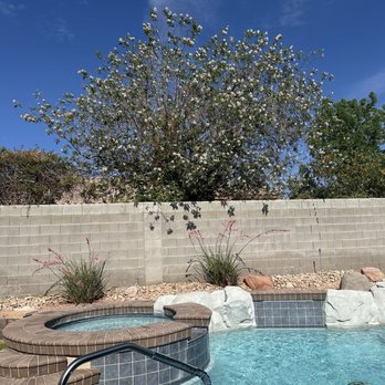 Mr. Tree - Tree Services Near Me - Henderson, Nevada