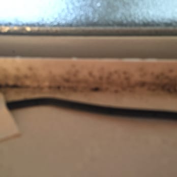Metropolitan Apartments - More mold - Apartments Near Me - San Mateo, California