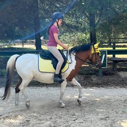 Pony Gang Horse Crazy Camp
