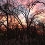 Lakewood Forest Preserve