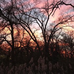 Lakewood Forest Preserve