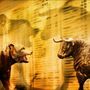 Primitive Trading