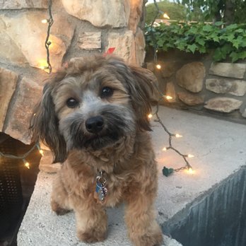 Petco - Pet Stores Near Me - Mission Viejo, California